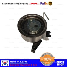 OEM 243102R100 Timing Belt Tensioner for Hyundai Santa Fe Kia Sorento 2020+ picture