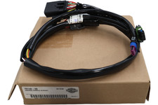 70148-09 NEW OEM 2009 HARLEY-DAVIDSON FXSTSSE3 CVO SPRINGER CONSOLE OVERLAY picture