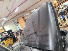 Hood Fits 97-06 WRANGLER 668893 picture