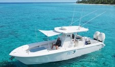 Dev Fishing UBS 200 Bow /Stern / Side Pole Canopy Boat 25-33FT Sun Shade WHITE picture