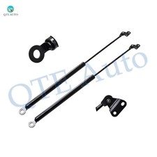 2 Rear Left-Right Hatch Lift Supports Liftgate ShocksFor 1996-2000 Honda Civic picture