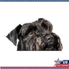 Black Miniature Schnauzer Dog Decal Sticker 5.91x3.35-2pcs Car, Refrigerator picture