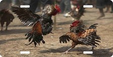 Fighting Rooster Chicken Game Sport 4 Designs License Plate Car Truck Tag  picture