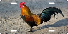 Fighting Rooster Game Bird Chicken Farm License Plate Car Truck Tag  picture