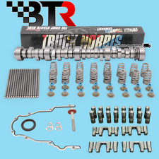 BTR TRUCK NORRIS LS Cam Kit + Pushrods + Delphi Lifters + Trays 4.8 5.3 6.0 6.2L picture