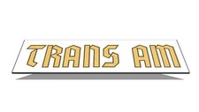 1976 1977 1978 Black Trans Am Special Edition German Gold Name Bird Stripe Decal picture