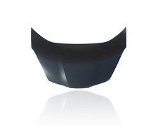 Hood 09-14 Honda Fit, 13-14 EV Steel 60100TK6A92ZZ picture
