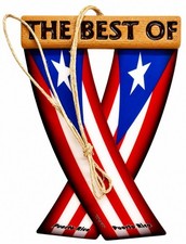 Puerto Rico Flag for Car Mirror Rear View Mirror Accessory by Unity Flagz picture