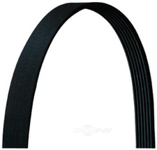 Serpentine Belt Dayco 5060970DR picture