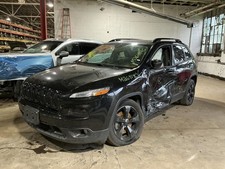 (LOCAL PICKUP ONLY) Trunk/Hatch/Tailgate With Rear View Camera Fits 14-18 CHEROK picture