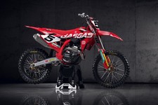 Fits GASGAS EX EC125/250/350/450 MC125/250/350/450 2024 25 26 2027 Graphic kit picture