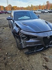 (LOCAL PICKUP ONLY) Hood With Dual Vent Hood Quadrifoglio Fits 17-25 GIULIA 8613 picture