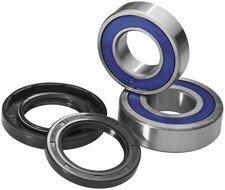All Balls 25-1069 Wheel Bearing and Seal Kit picture