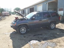 Hood Fits 99-04 GRAND CHEROKEE 2168995 picture