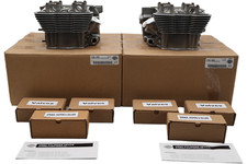 17242-09KA 17246-09KA NEW OEM 2009-2017 HARLEY-DAVIDSON VRSC VROD CYLINDER HEADS picture