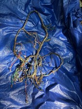 MG MGB WIRING HARNESS 1962 1962 1964 RARE picture