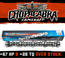 Texas Speed TSP CHOPACABRA for Chevy Truck Cam Kit - 214/222 .550