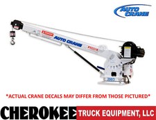 Auto Crane 600900000, EC-2x Electric Crane, 2,000 lbs. Capacity, 5'6