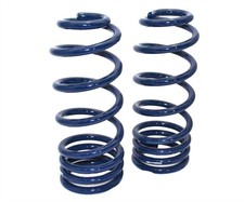 Ridetech StreetGrip Dual-Rate Coil Springs 1958-1964 Impala B-Body picture