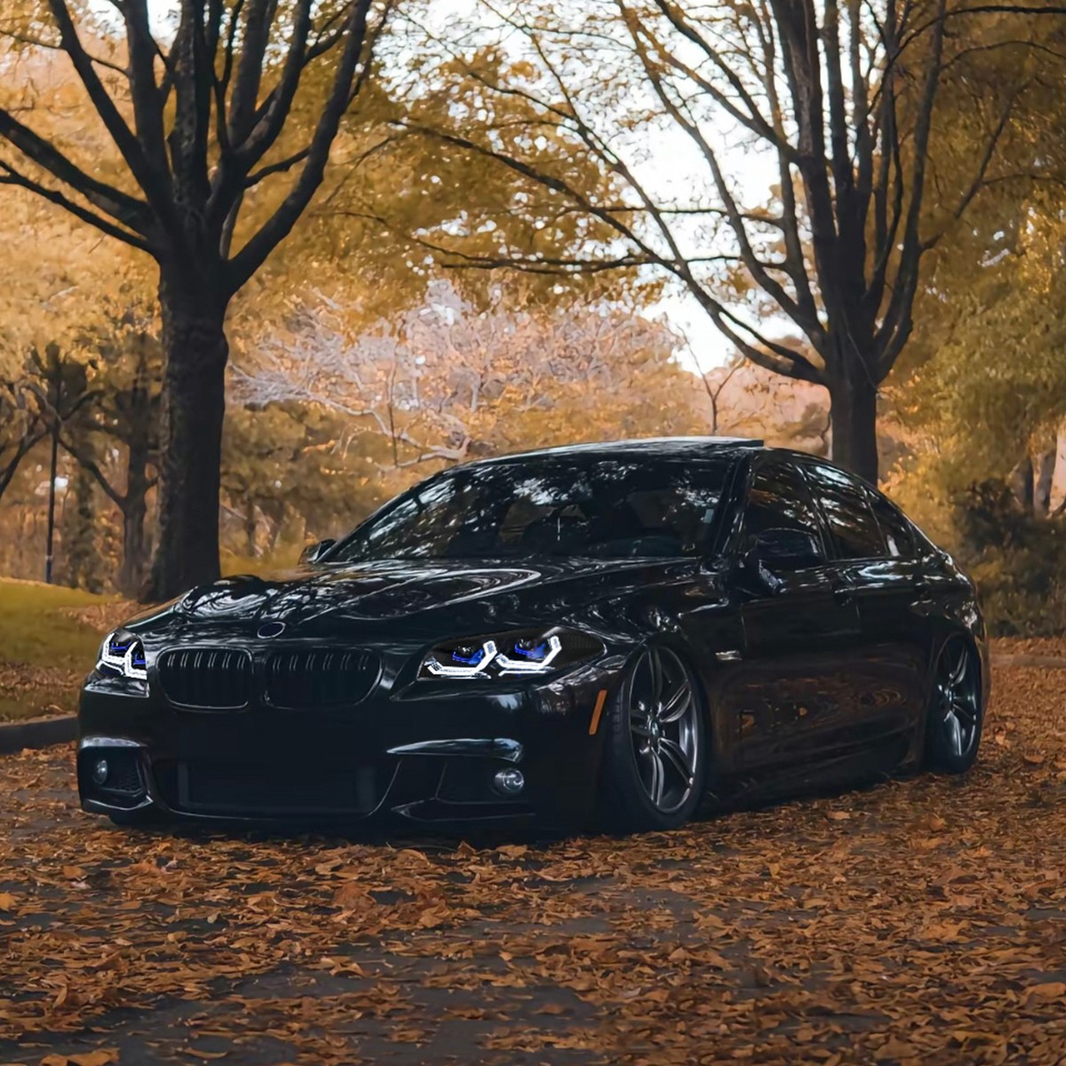 2X Full LED Headlight For BMW 5 Series F10 F18 2011-2017 Halogen Xenon Animation 2X Full LED Headlight For BMW 5 Series F10 F18 2011-2017 Halogen Xenon Animation