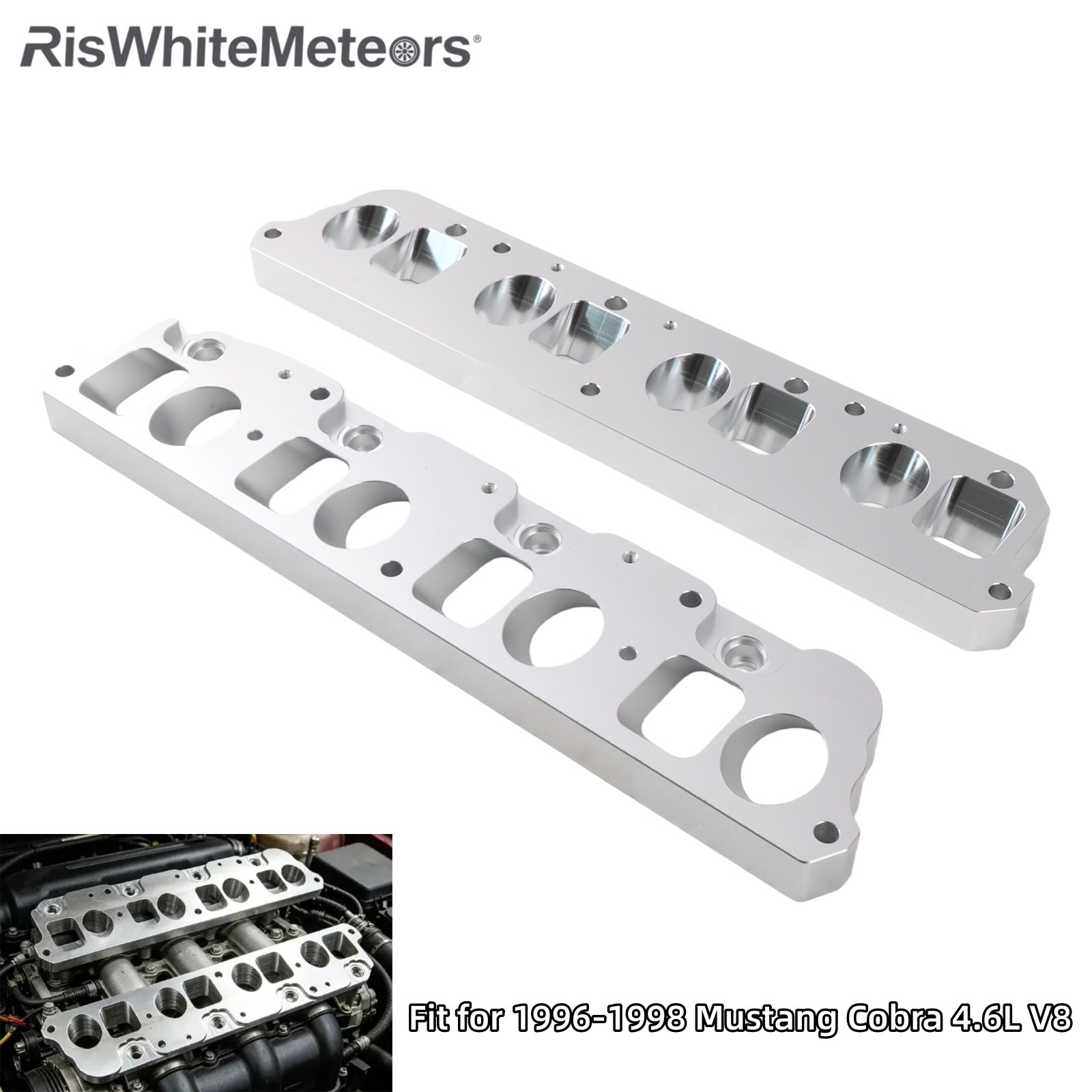 Runner Control IMRC Delete Plates For96/97/98 Mustang Cobra 4.6L Intake Manifold
