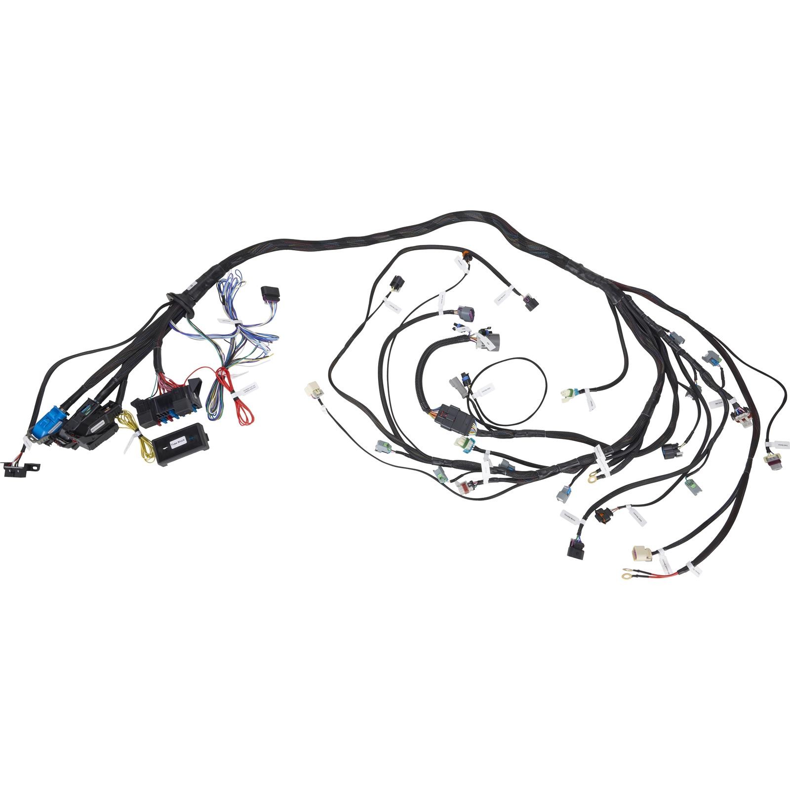 LS Gen IV Stand Alone DBW Wiring Harness 11-Pin