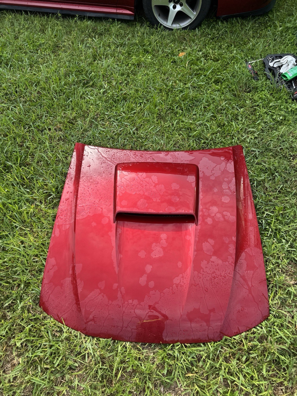 1999-2004 Mustang Gt Hood Laser Red Oem