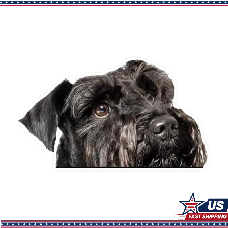 Black Miniature Schnauzer Dog Decal Sticker 5.91x3.35-2pcs Car, Refrigerator Black Miniature Schnauzer Dog Decal Sticker 5.91x3.35-2pcs Car, Refrigerator