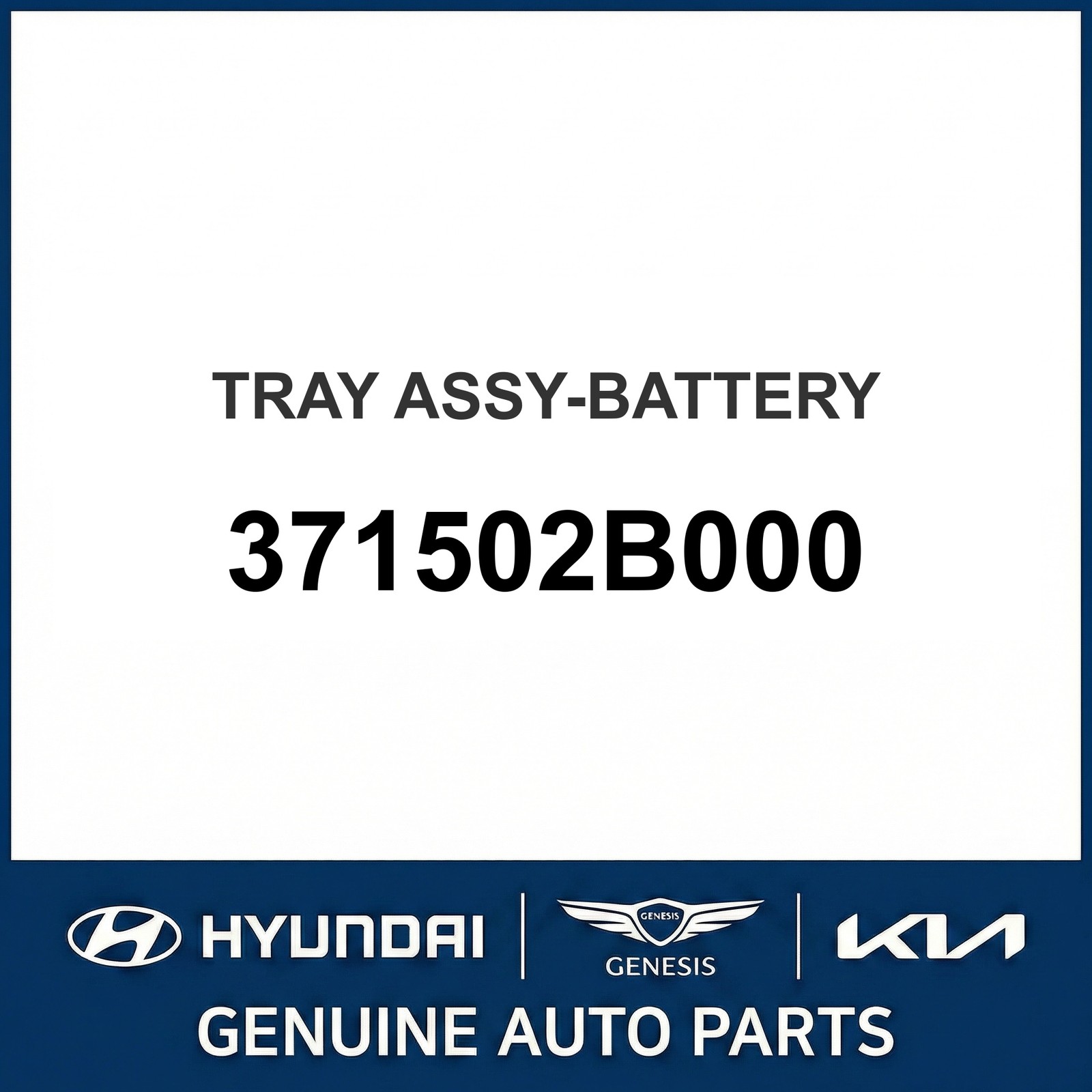 2006-2009 Hyundai Santa Fe Battery Tray OEM New 371502B000