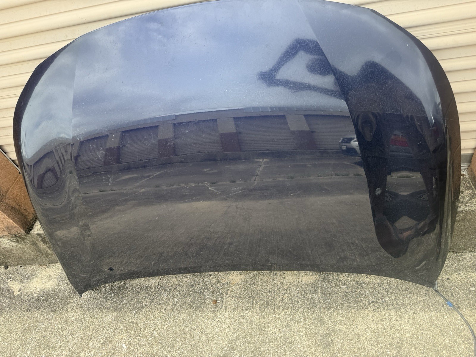 2020 - 2025 Toyota Corolla LE Blue Hood Panel & Hinges OEM( LOCAL PICKUP ONLY) 2020 - 2025 Toyota Corolla LE Blue Hood Panel & Hinges OEM( LOCAL PICKUP ONLY)