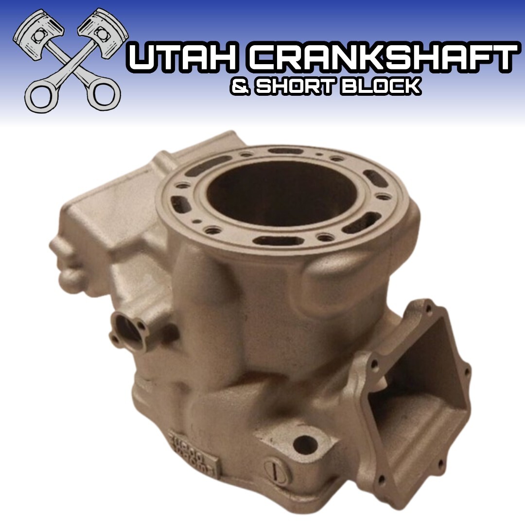 New Plated 03-21 Yamaha YZ250 Cylinder 5UP-11311-21-00 YZ 250 5UP00 3 4B3G1