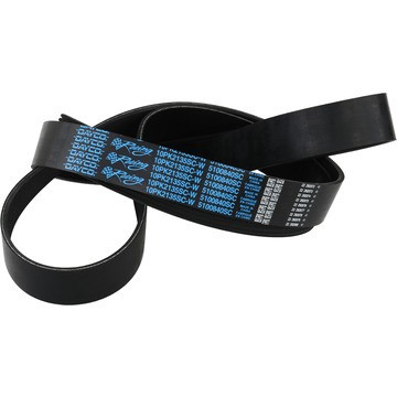 Dayco Products Llc Supercharger Belt Mustang GT500
