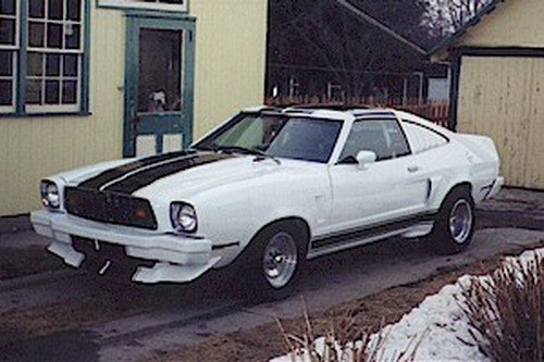 74 75 76 77 78 Ford Mustang II SHOWCARS Spoiler Front Cobra Style Fiberglass