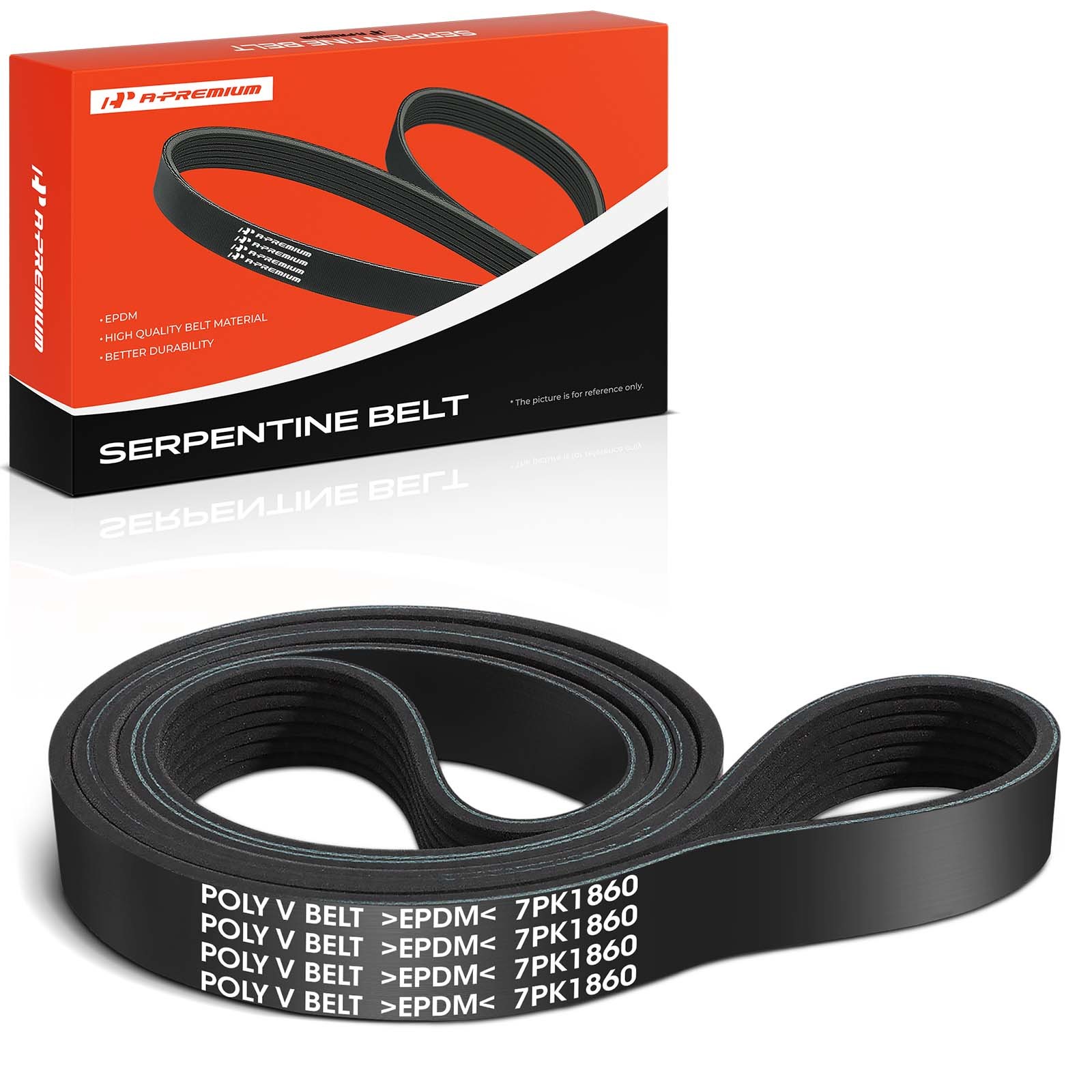 A-Premium 73.23 in Serpentine Belt for BMW 335i 335i GT xDrive Chevy Dodge GMC A-Premium 73.23 in Serpentine Belt for BMW 335i 335i GT xDrive Chevy Dodge GMC