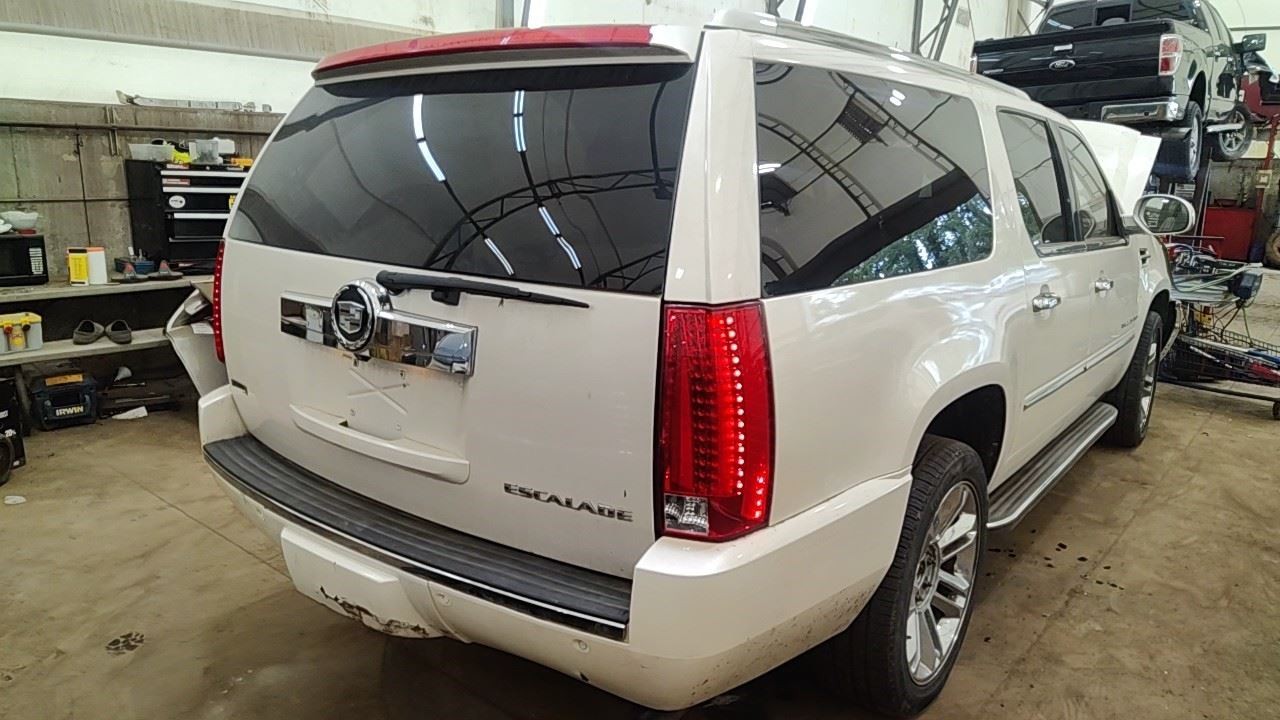 ESCALAESV 2012 Glove Box 7150131
