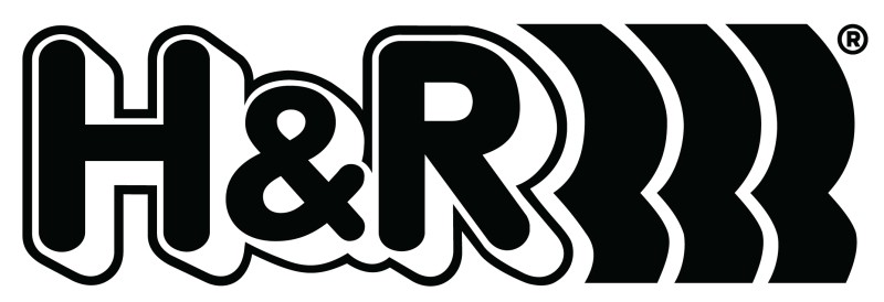 H&R Trak+ 31mm Wheel Spacers for Mercedes-Benz G-Class 62958410SW