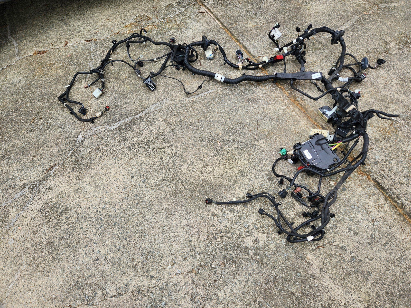 2021 - 2023 FORD MUSTANG MACH-E AWD ENGINE WIRING HARNESS OEM 2021 - 2023 FORD MUSTANG MACH-E AWD ENGINE WIRING HARNESS OEM