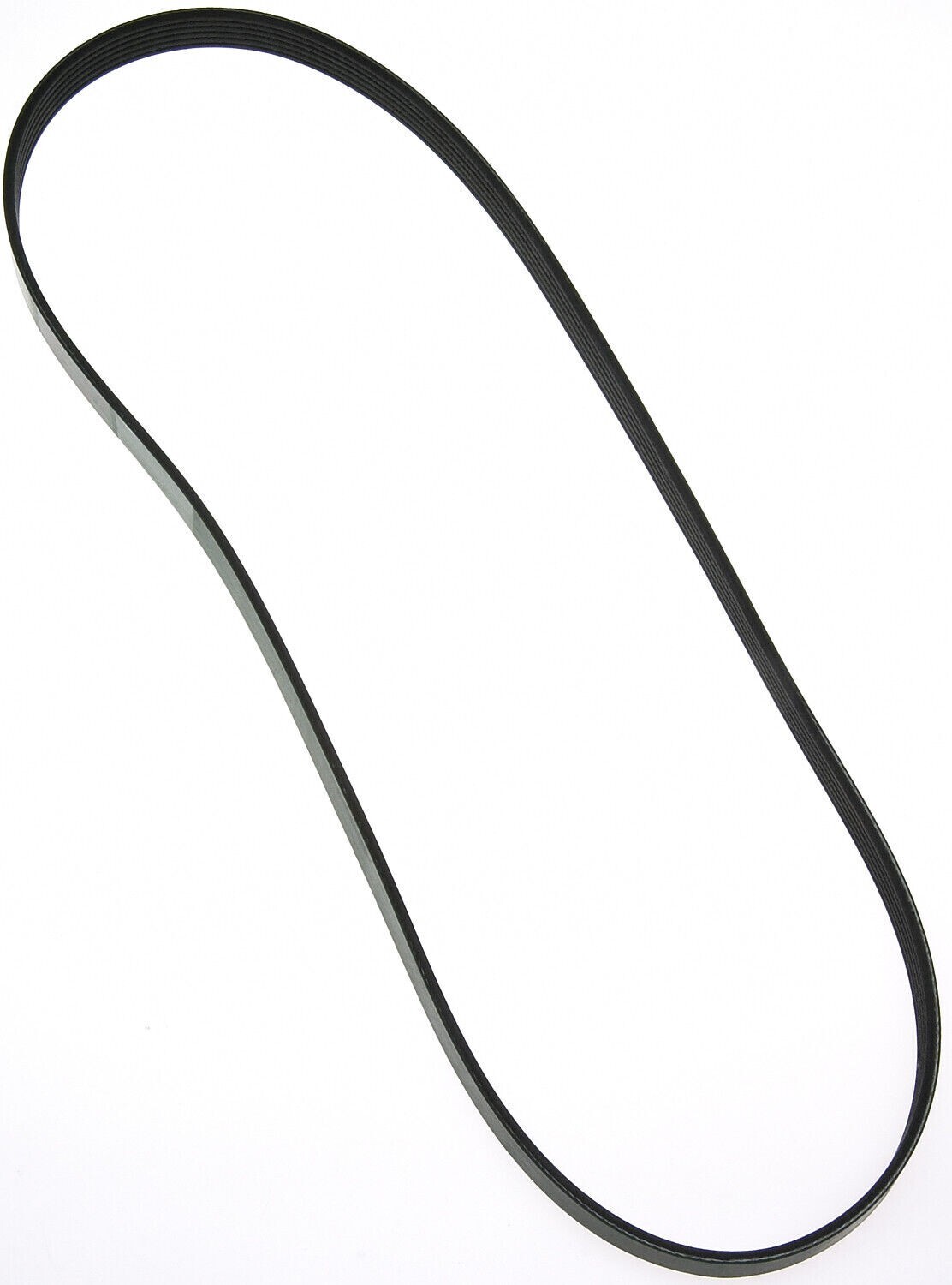Serpentine Belt-Automotive V-Ribbed Belt (Standard) Roadmax 6K908AP Serpentine Belt-Automotive V-Ribbed Belt (Standard) Roadmax 6K908AP