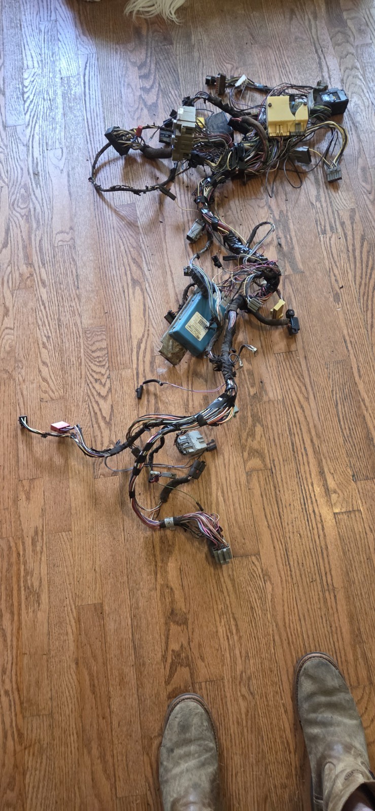 94-95 Mustang GT 5.0 Dash Wiring Harness 94-95 Mustang GT 5.0 Dash Wiring Harness