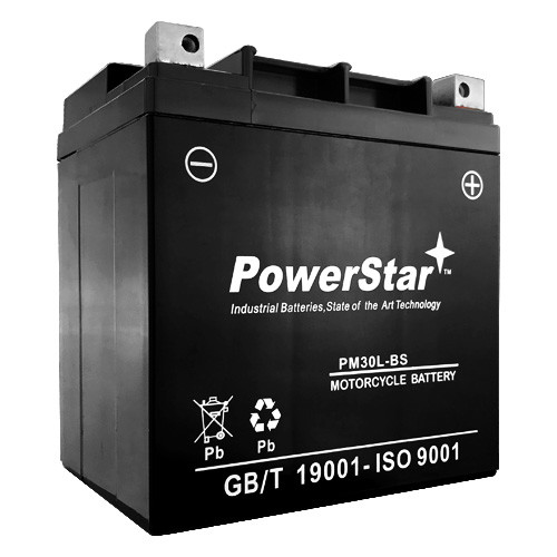 Deka ETX30L YTX30L Replacement Sealed AGM Motorcycle Battery -  2 Year Warranty