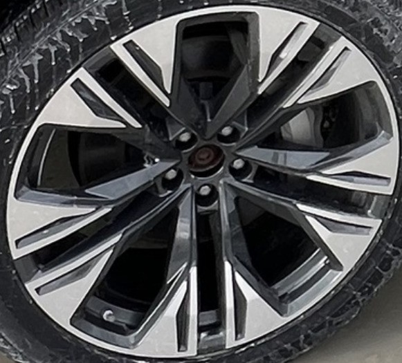 2024 Q8 OE Wheel 22x10 5 Double Spoke Audi