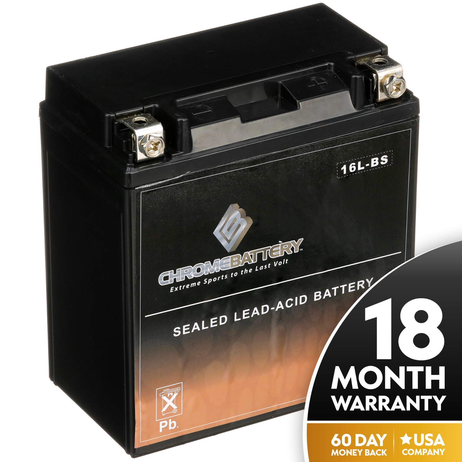 YTX16L-B Sealed AGM Snowmobile Battery for Arctic Cat Cheetah 86-90 Cougar 85-90