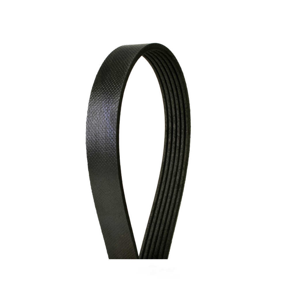 Serpentine Belt-Multi-V Continental Elite 4060578