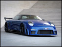 2009 9ff GT9-R