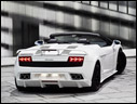 2010 BF_Performance Gallardo GT600