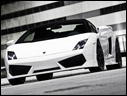2010 BF_Performance Gallardo GT600