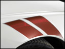 2007 Chevrolet Ron Fellows GT1 Champion Corvette Z06