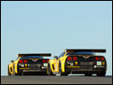 2008 Chevrolet Corvette C6.R