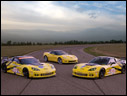 2009 Chevrolet Corvette C6.R