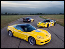 2009 Chevrolet Corvette C6.R